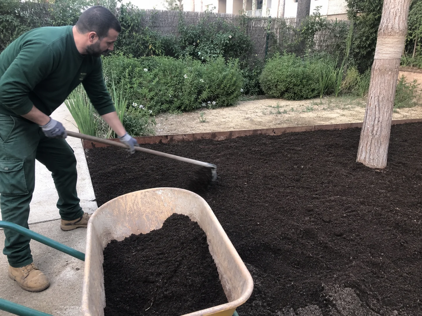 Jardín de bajo consumo en Madrid